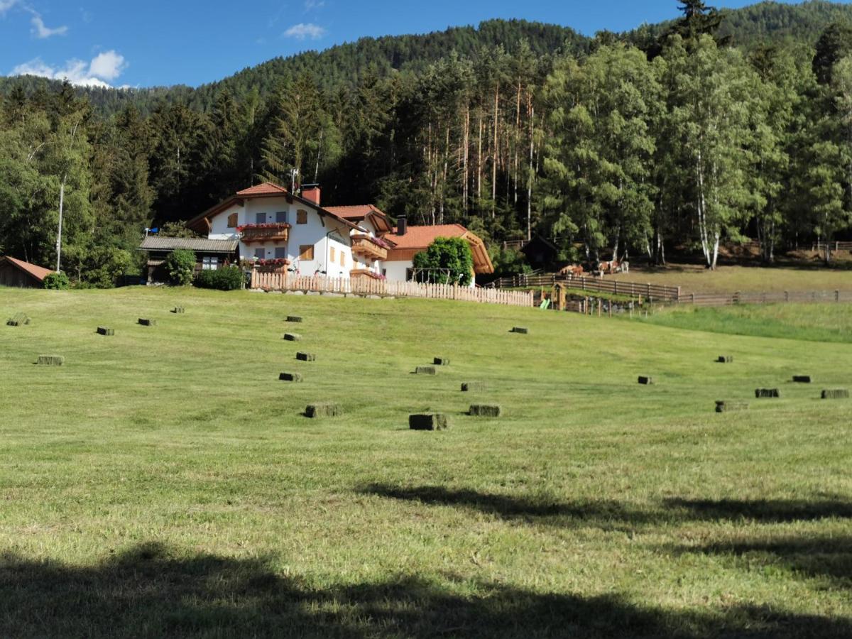 Apartamento Rauchenbichlerhof Brunico Exterior foto